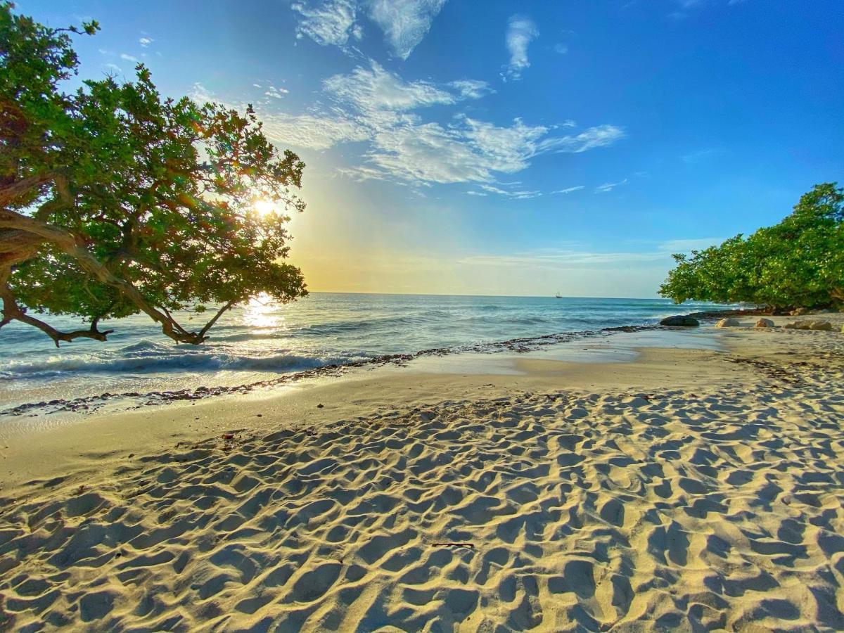 Palm Beach Paradise Vacation Rental Экстерьер фото